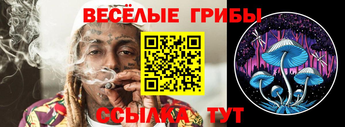 Арзамас  Галлюциногенные грибы MAGIC MUSHROOMS  Вход с VPN  Галлюциногенные грибы Cubensis 